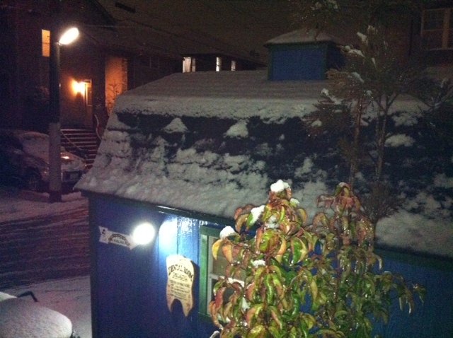 雪化粧